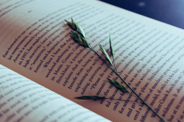 livre ouvert