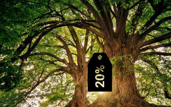 CII ecoconception