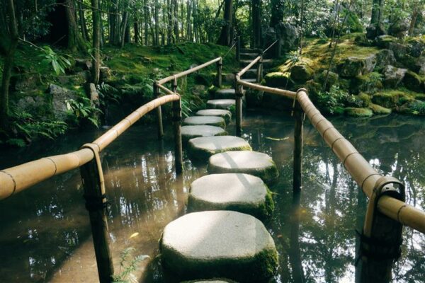 rescrit JEI en 5 étapes